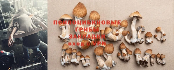 крисы Краснотурьинск