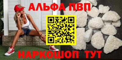 гашик Кингисепп