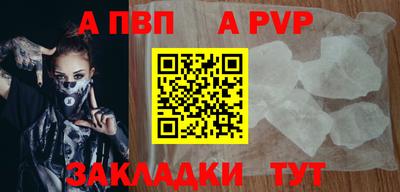 гашик Кингисепп