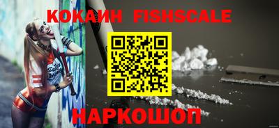 гашик Кингисепп