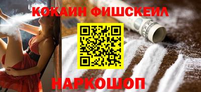 гашик Кингисепп