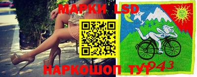 гашик Кингисепп