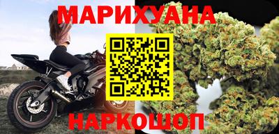 гашик Кингисепп