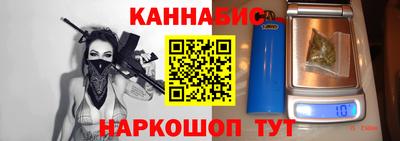 гашик Кингисепп