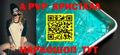 гашик Кингисепп