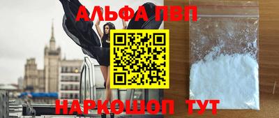 гашик Кингисепп
