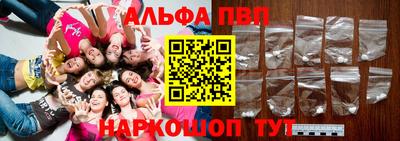 гашик Кингисепп