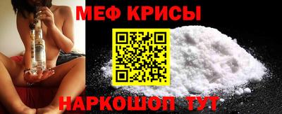 гашик Кингисепп