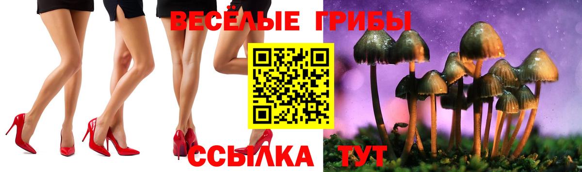 Псилоцибиновые грибы мицелий Псков